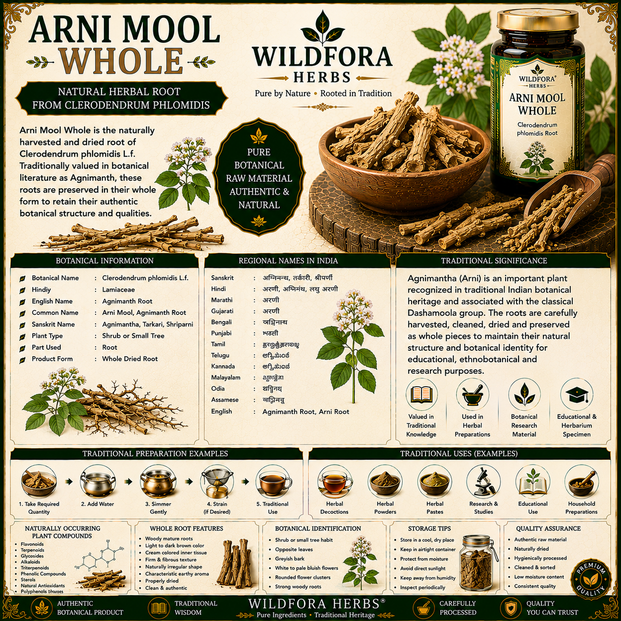 Arni Mool Whole Clerodendrum Phlomidis Agnimanth Root