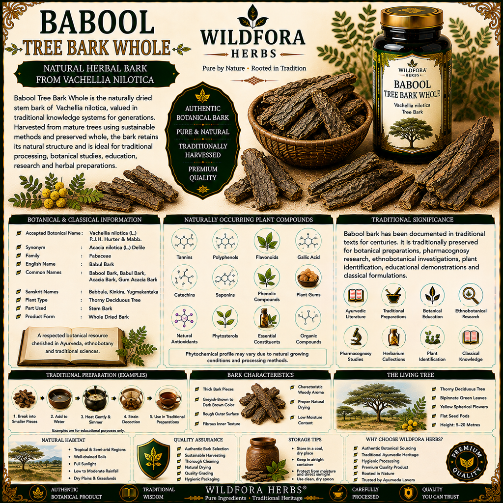 Babul Tree Bark Whole Vachellia Nilotica Natural Herbal Bark