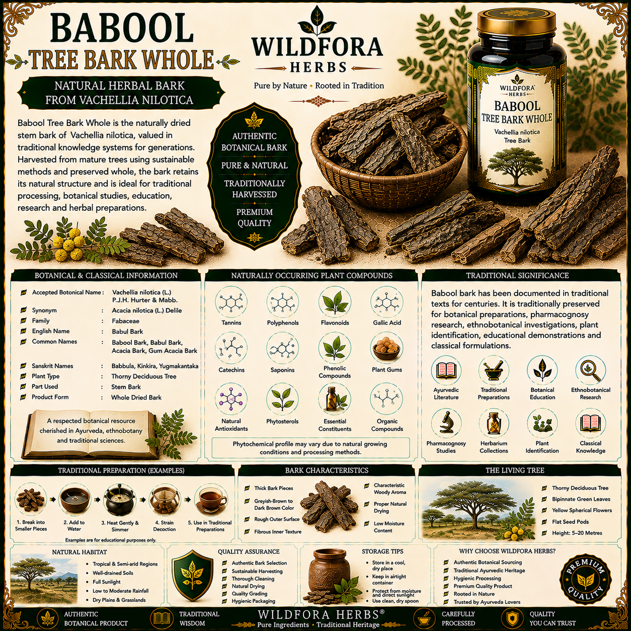 Babul Tree Bark Whole Vachellia Nilotica Natural Herbal Bark