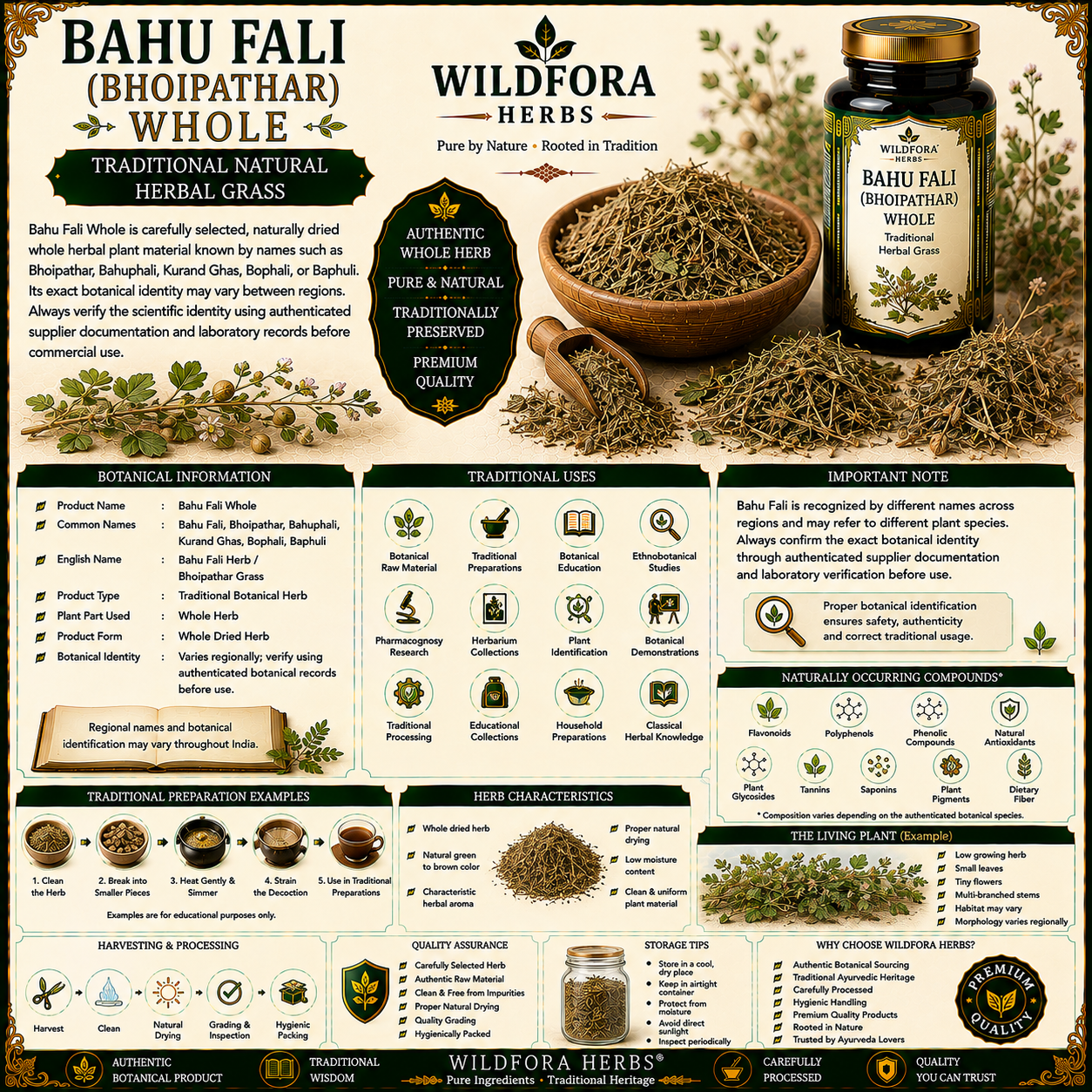 Bahu Fali (Bhoipathar) Whole Herbal Grass Natural Plant Product