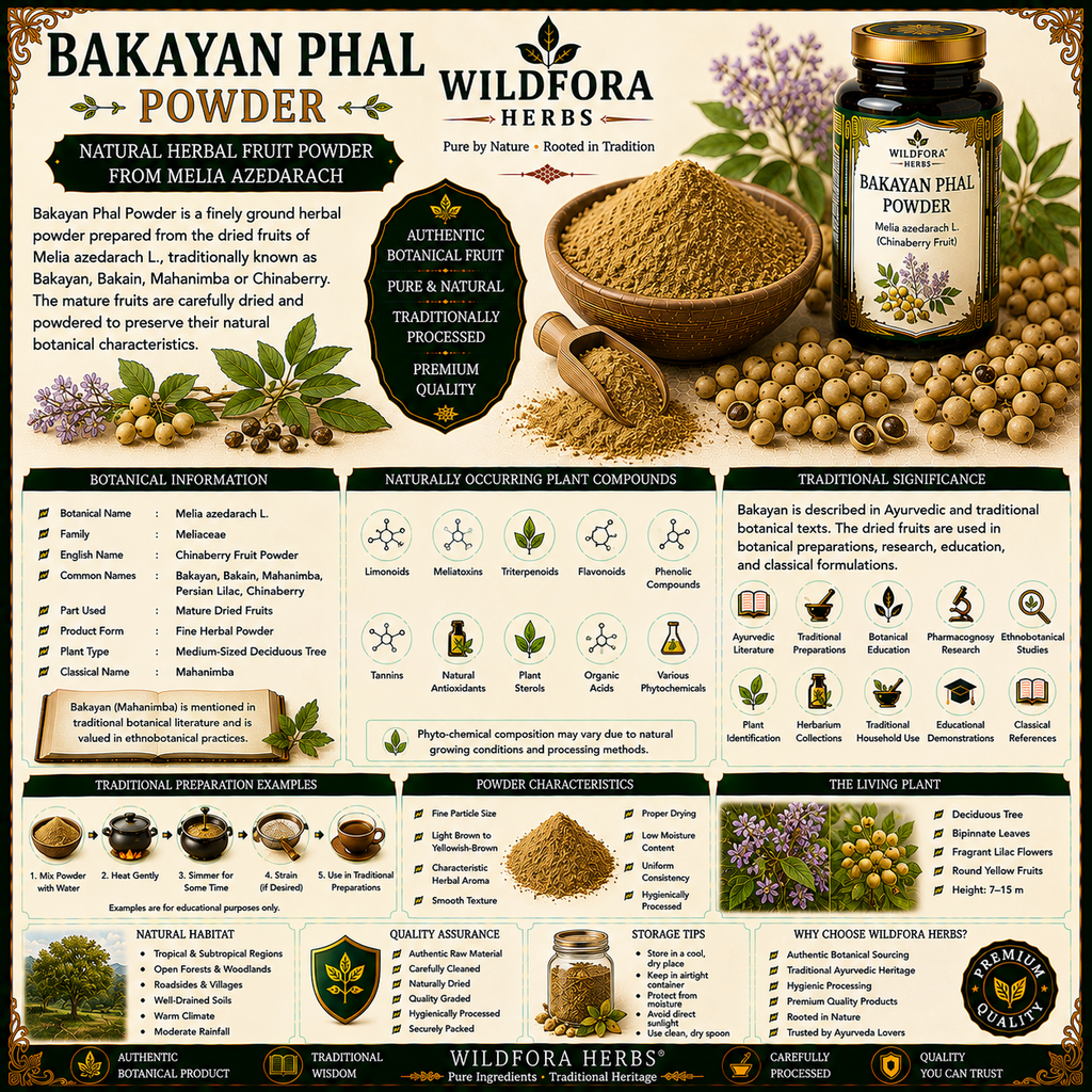 Bakayan Phal Powder Melia Azedarach | Mahanimba Fruit Powder