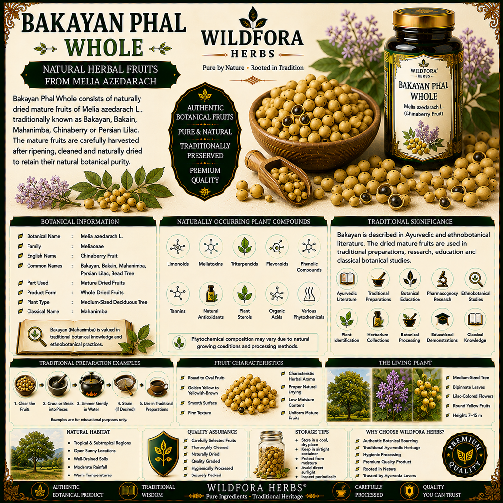 Bakayan Phal Whole Melia Azedarach Natural Herbal Fruit