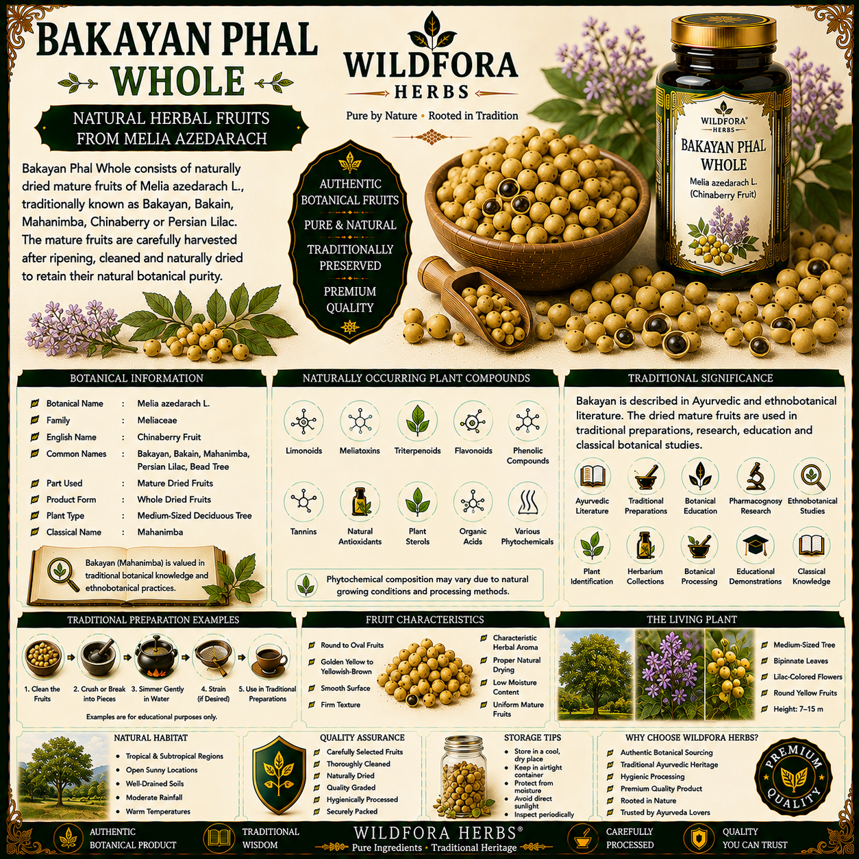 Bakayan Phal Whole Melia Azedarach Natural Herbal Fruit