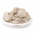 Banslochan Asli Whole (Bambusa vulgaris Tabasheer) - Premium Natural Bamboo Silica | Botanical Mineral Product