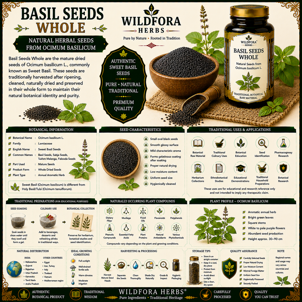 Basil Seeds Whole Ocimum Basilicum Tulsi Beej Natural Seeds
