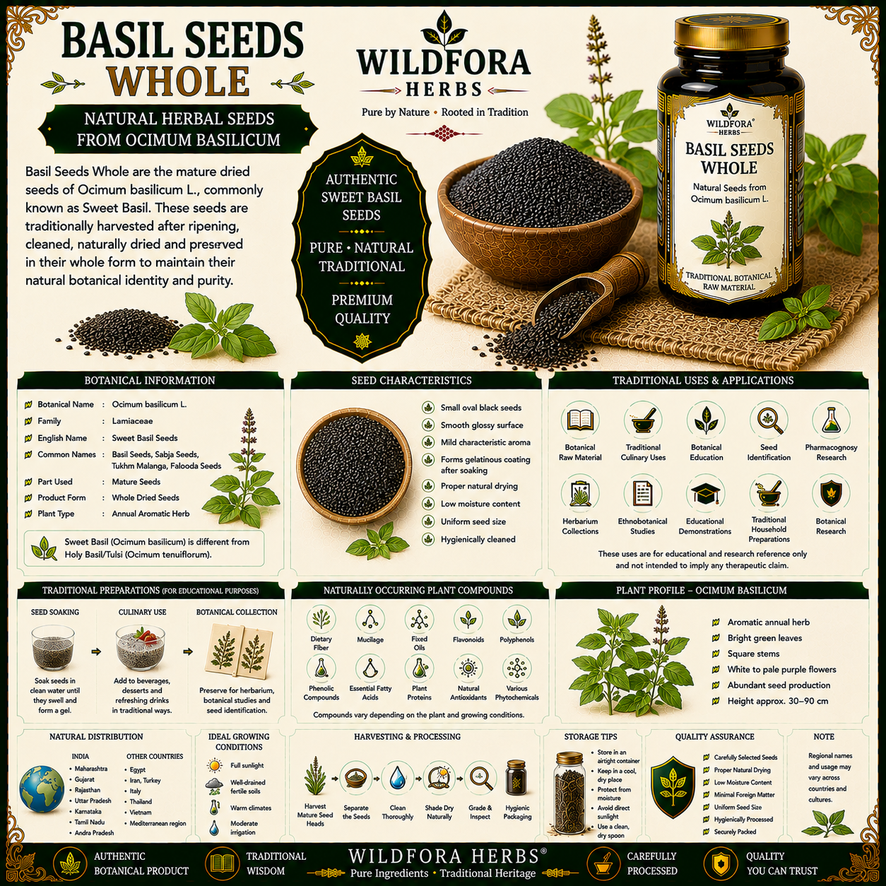 Basil Seeds Whole Ocimum Basilicum Tulsi Beej Natural Seeds