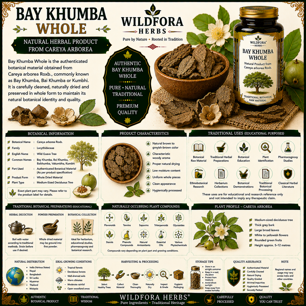 Bay Khumba Whole Careya Arborea Natural Herbal Product