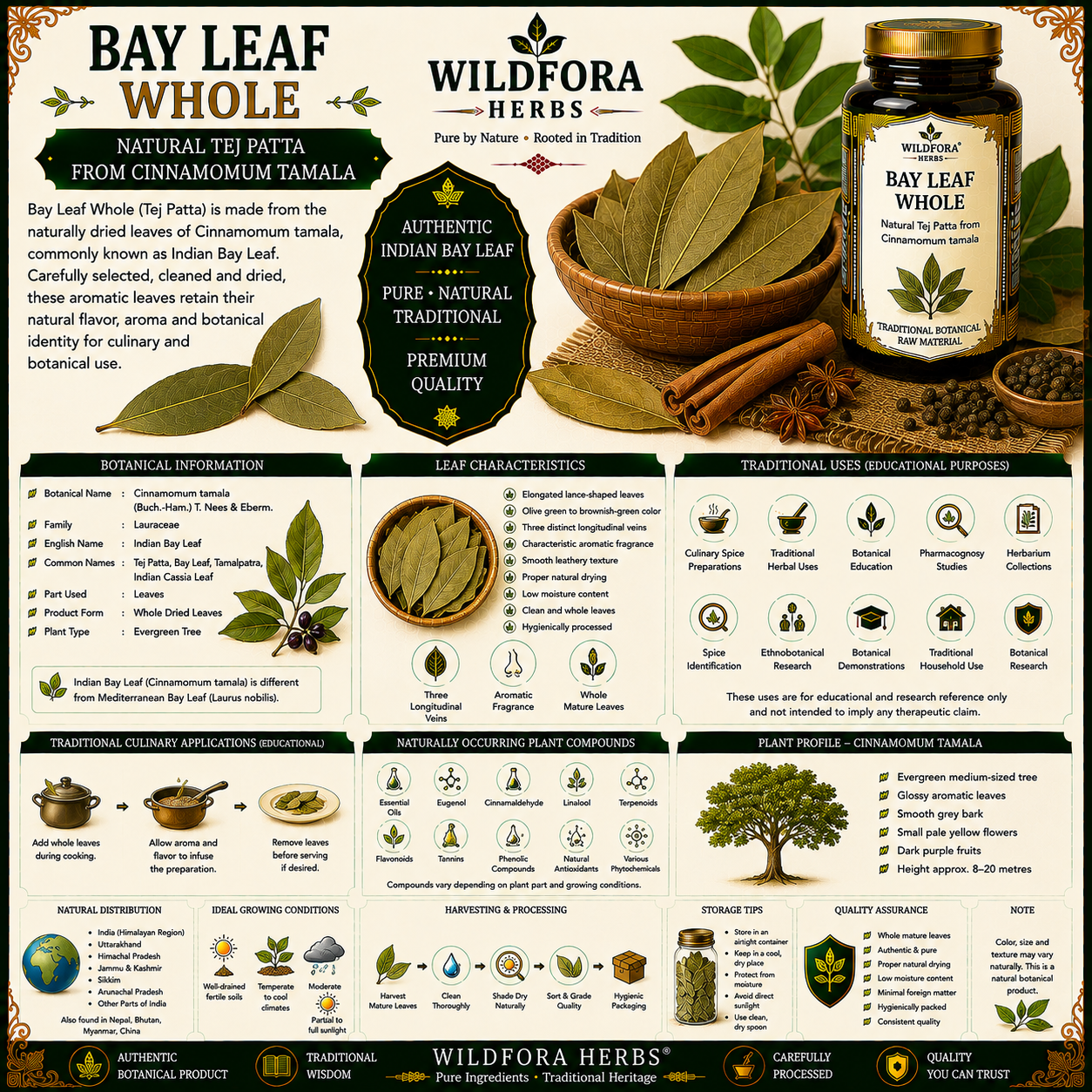 Bay Leaf Whole Cinnamomum Tamala Natural Tej Patta