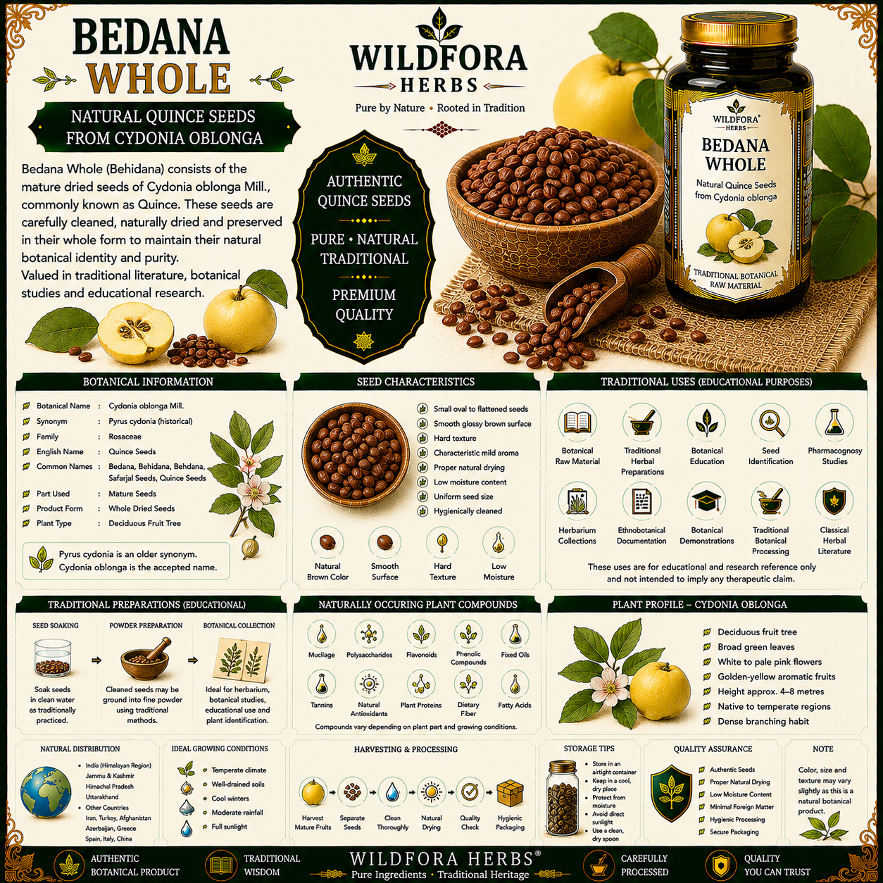 Bedana Whole Quince Seeds Pyrus Cydonia Natural Seeds