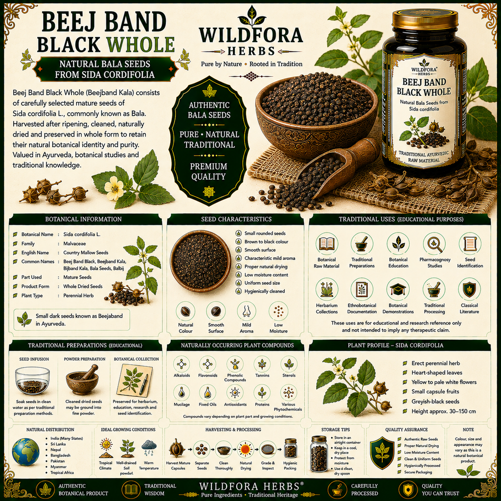 Beej_Band_Black_Whole_Sida_Cordifolia_Bala_Herbal_Seeds