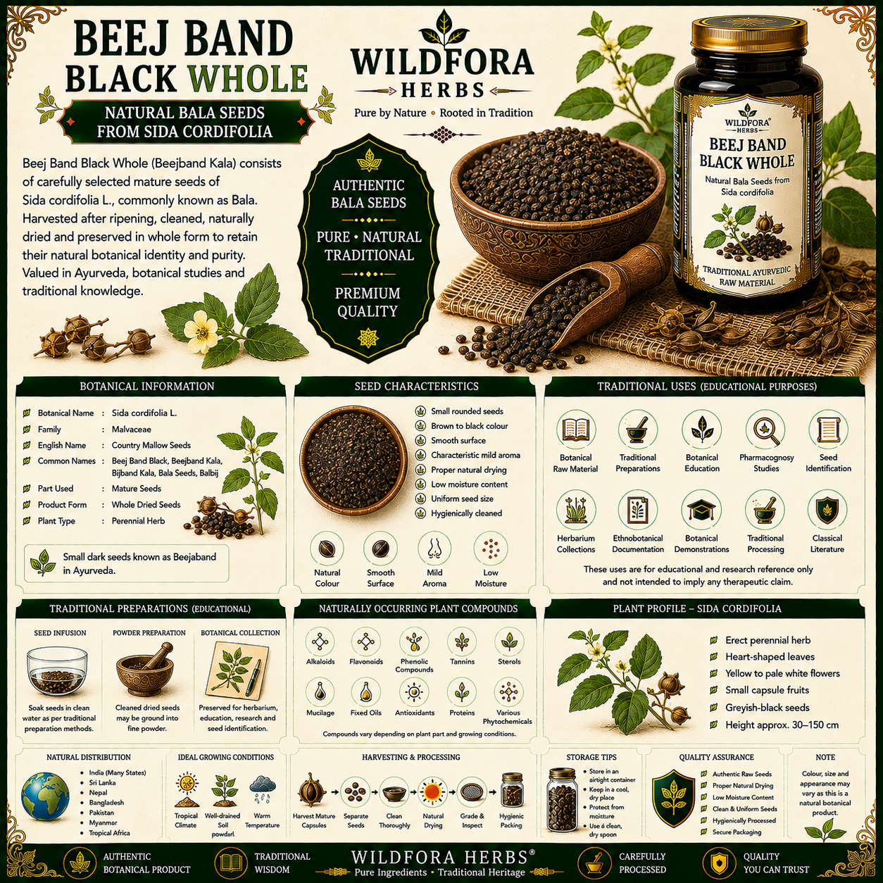 Beej_Band_Black_Whole_Sida_Cordifolia_Bala_Herbal_Seeds