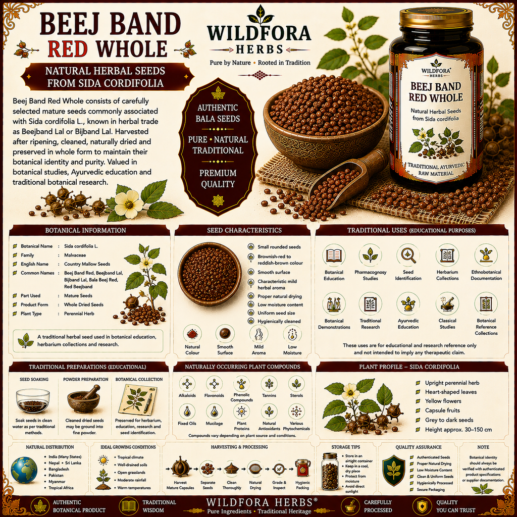 Beej Band Red Whole Herbal Seeds Natural Product
