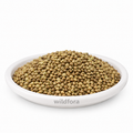 Beej Sabaj Hemp Seeds Whole (Cannabis sativa) - Premium Natural Hemp Seeds | Botanical Food Ingredient