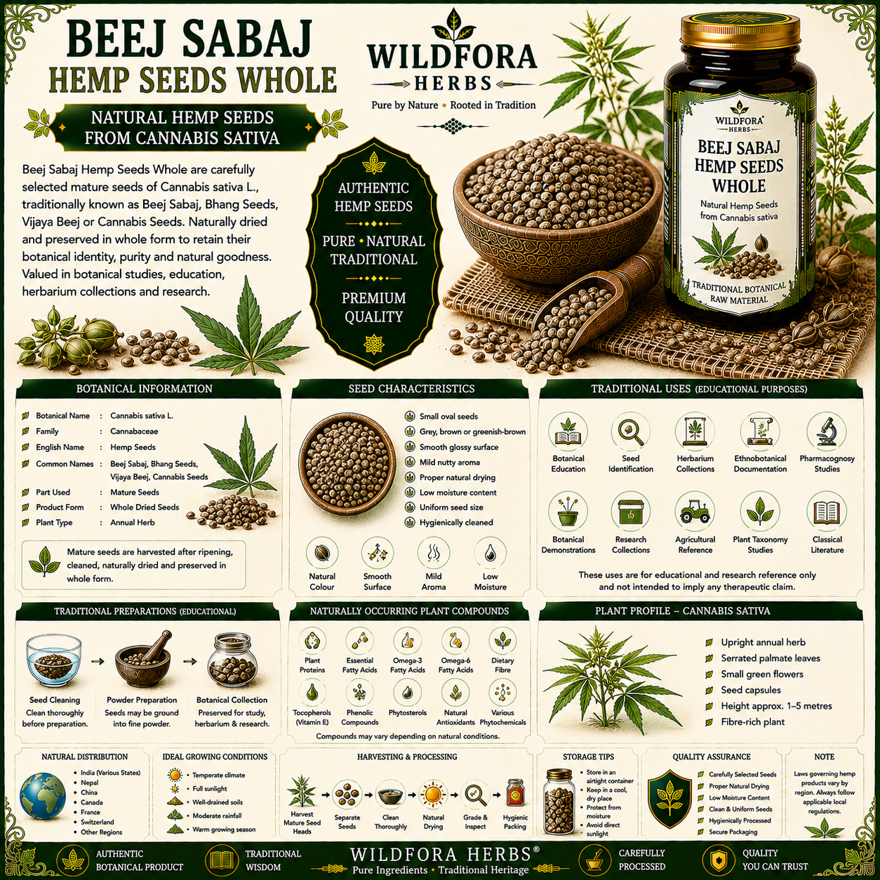 Beej Sabaj Hemp Seeds Whole Cannabis Sativa Natural
