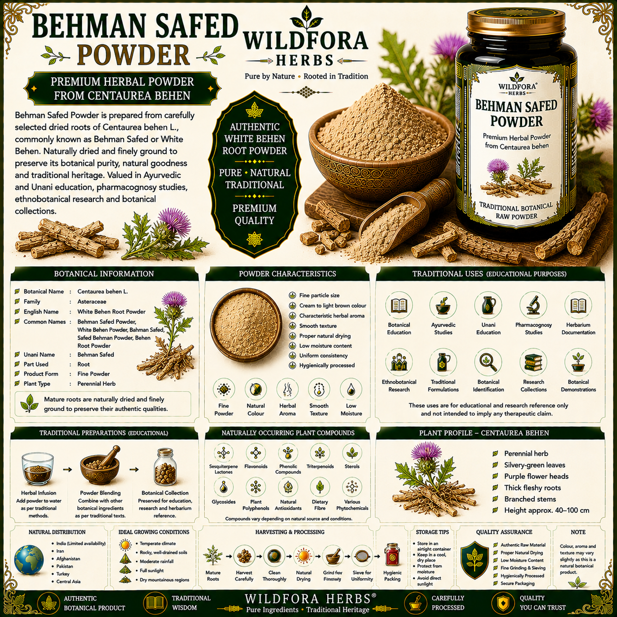 Behman_Safed_Powder_Centaurea_Behen_White_Behen_Herbal_Powder
