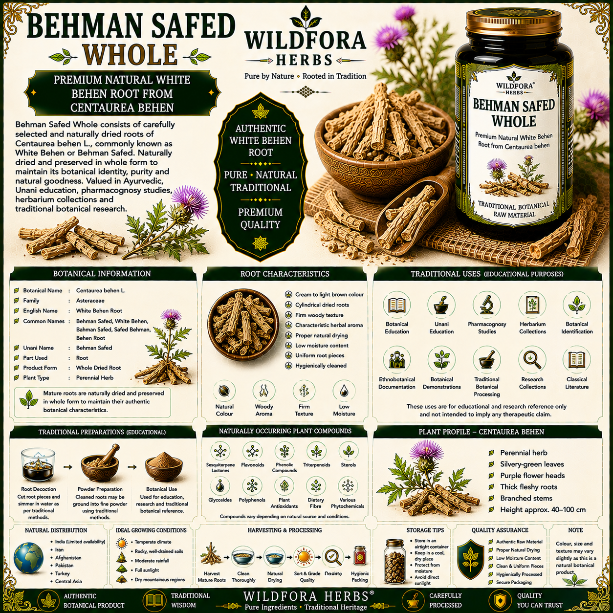Behman Safed Whole Centaurea Behen White Behen