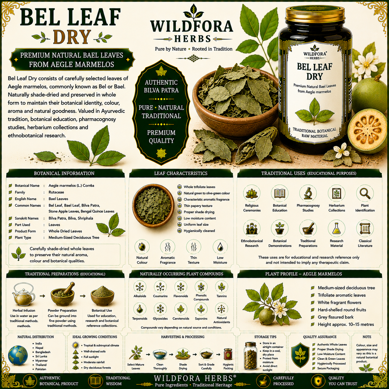 Bel Leaf Dry Aegle Marmelos Whole Herbal Leaves for Traditional Use