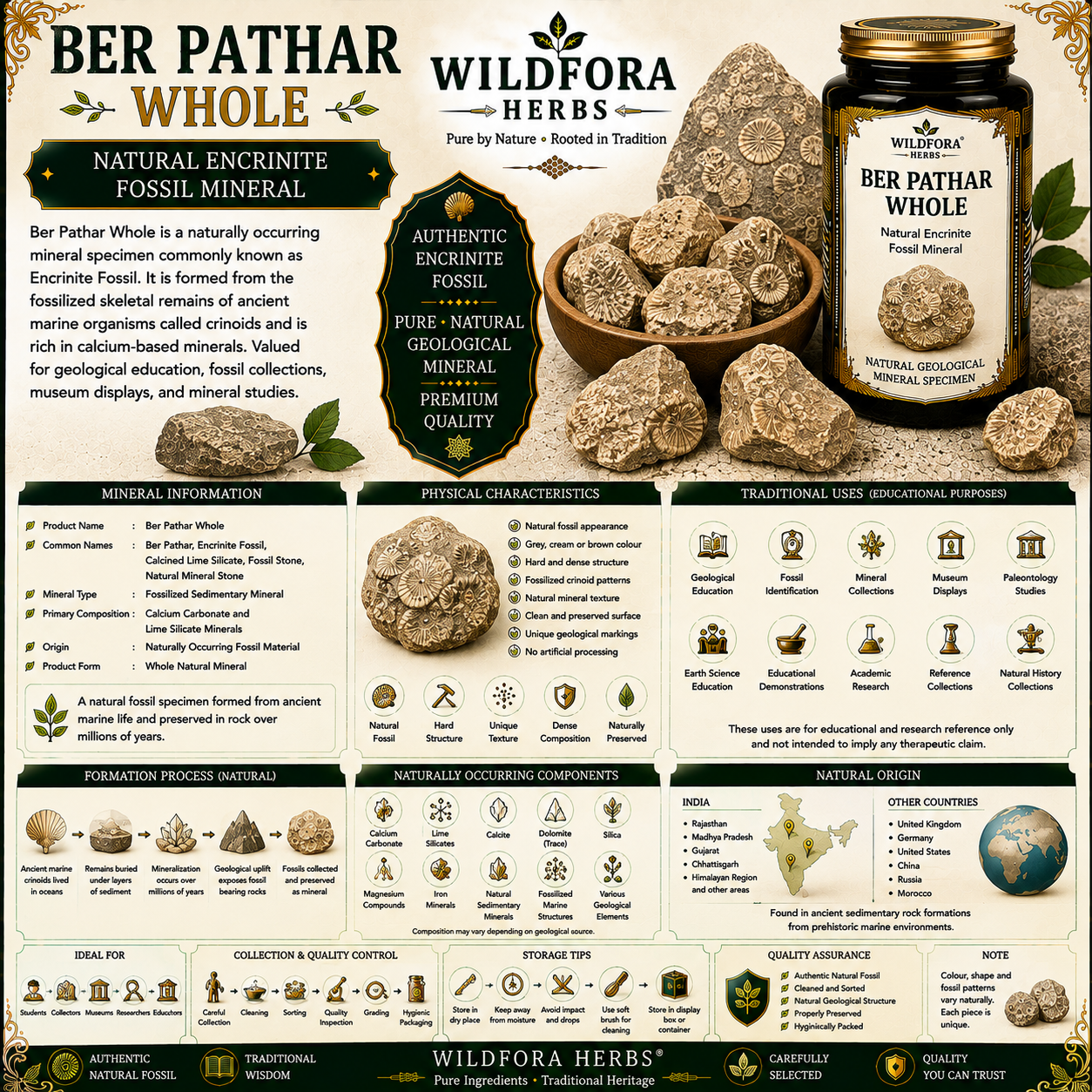 Ber Pathar Fossil Encrinite Calcined Lime Silicate Whole Natural Mineral Product