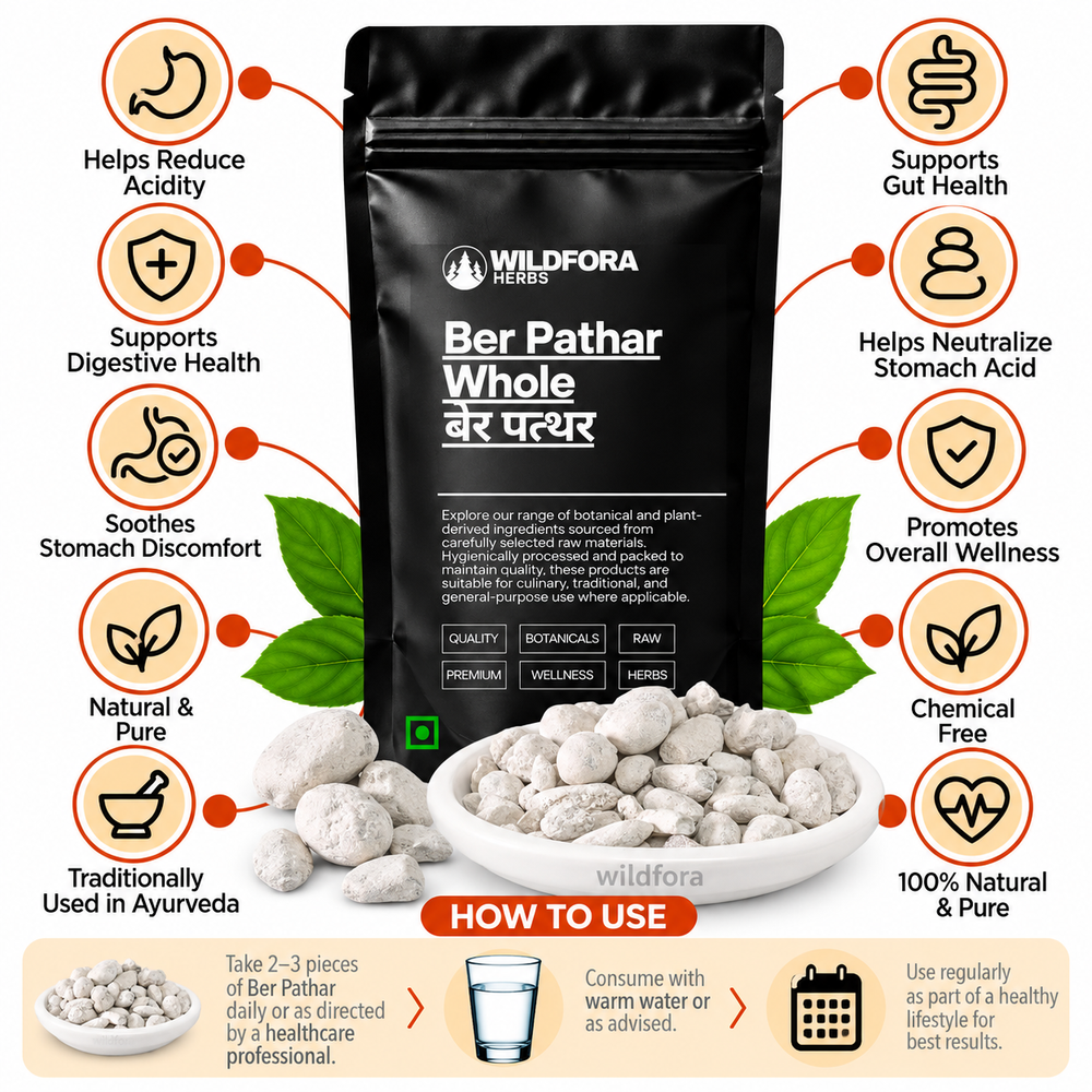 Ber Pathar Fossil Encrinite Calcined Lime Silicate Whole Natural Mineral Product Benefits
