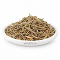 Brahmi Dandi Whole (Tricholepis angustifolia) - Premium Camel Thistle Herb | Natural Botanical Ingredient