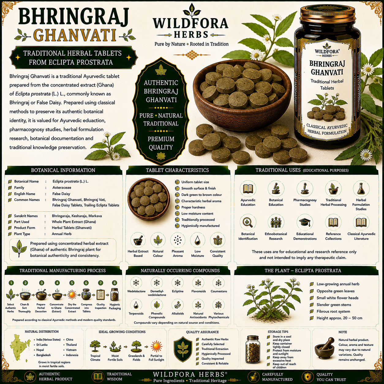 Bhringraj Ghanvati | Bhringraj Vati | Eclipta prostrata