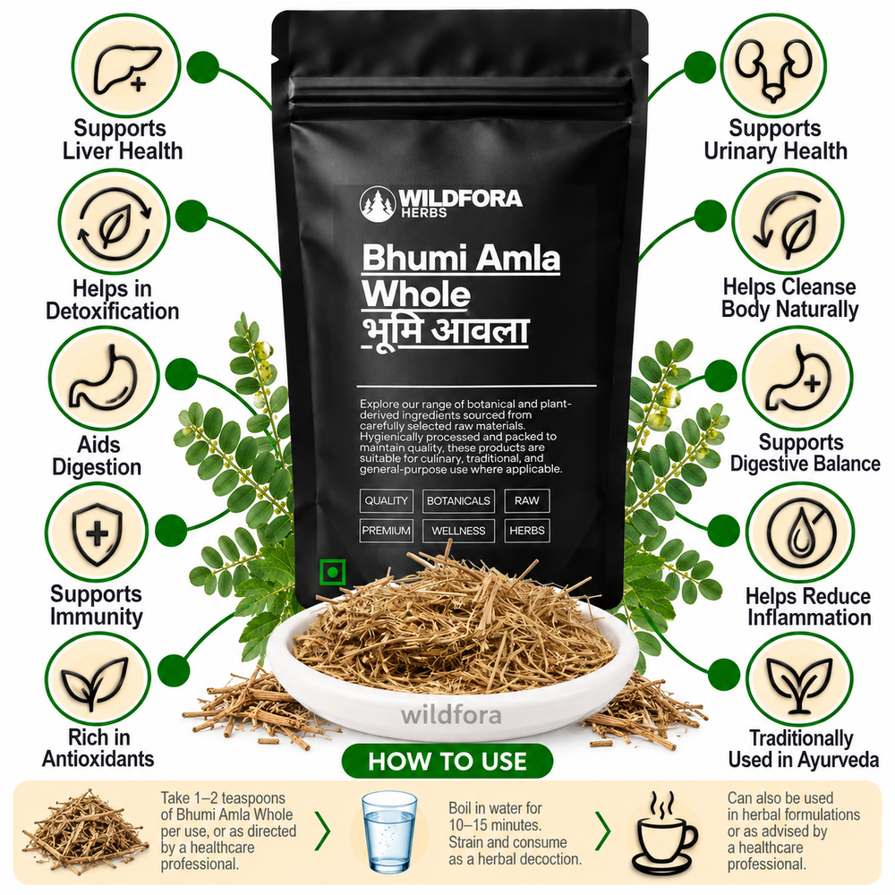 Bhumi Amla Whole Phyllanthus Niruri Chanca Piedra Herb Benefits