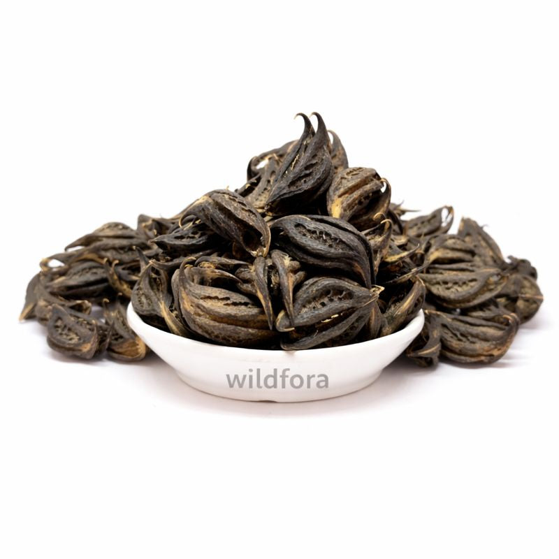 Bichhu Phal Whole Devils Claw Herbal Fruit Natural