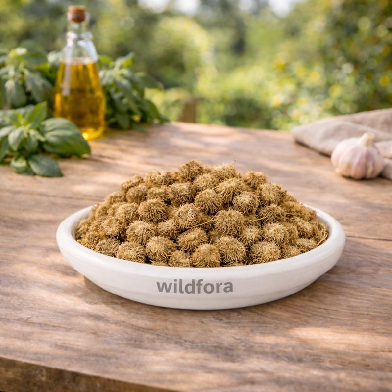 Bindaal Doda Whole Luffa Echinata Thorn Gourd Herbal Fruit