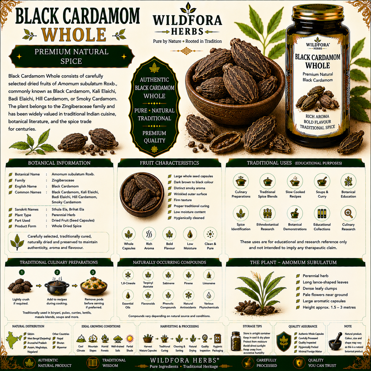 Black Cardamom Whole Amomum Subulatum Natural Spice
