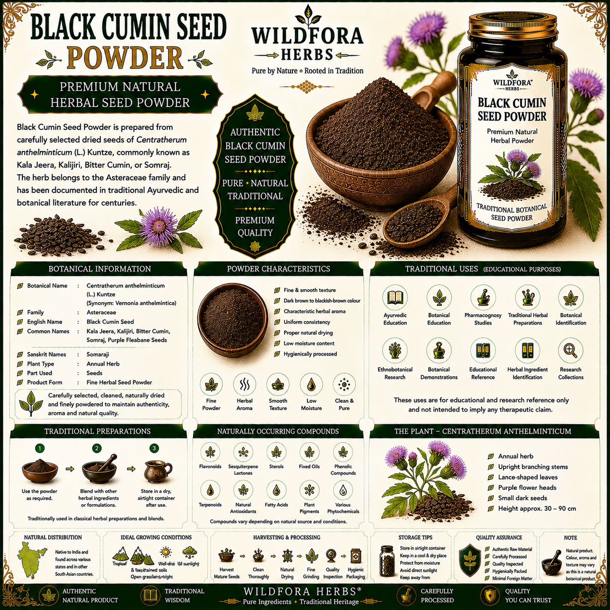 Black Cumin Seed Powder Centratherum | Kala Jeera Herbal Powder