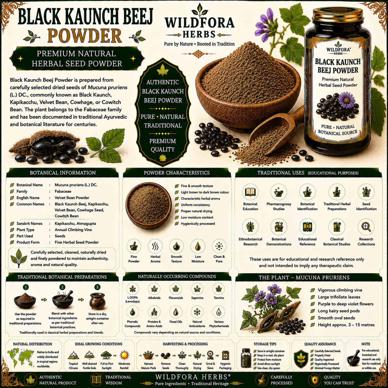 Black Kaunch Beej Powder Mucuna Pruriens | Velvet Bean Herbal Powder