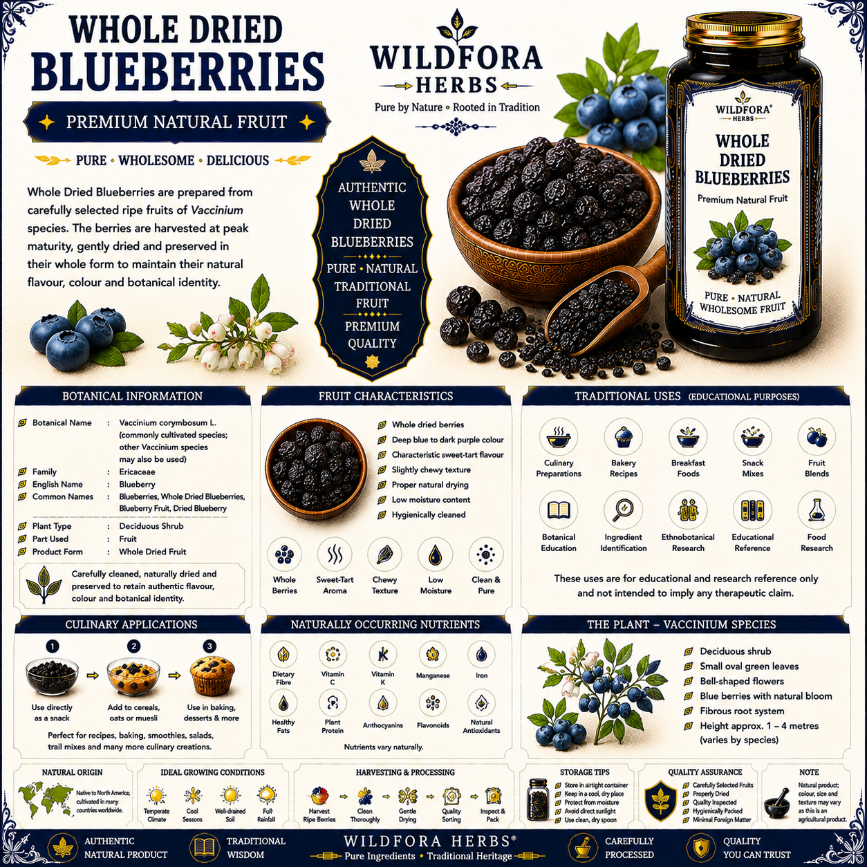 Blueberries Whole Natural Dried Blueberry Fruit