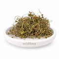 Brahmi Whole (Centella asiatica) - Premium Indian Pennywort Herb | Natural Botanical Ingredient