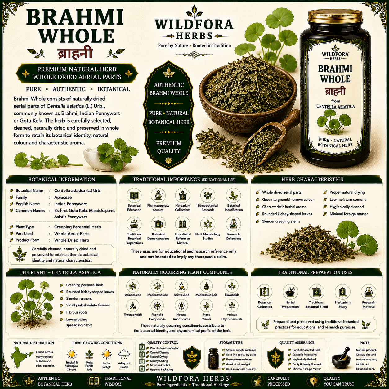 Brahmi Whole Centella Asiatica Indian Pennywort Herb