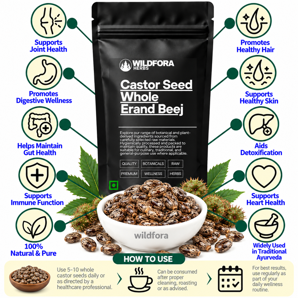 Castor Seed Whole Ricinus Communis Natural Erand Beej Benefits
