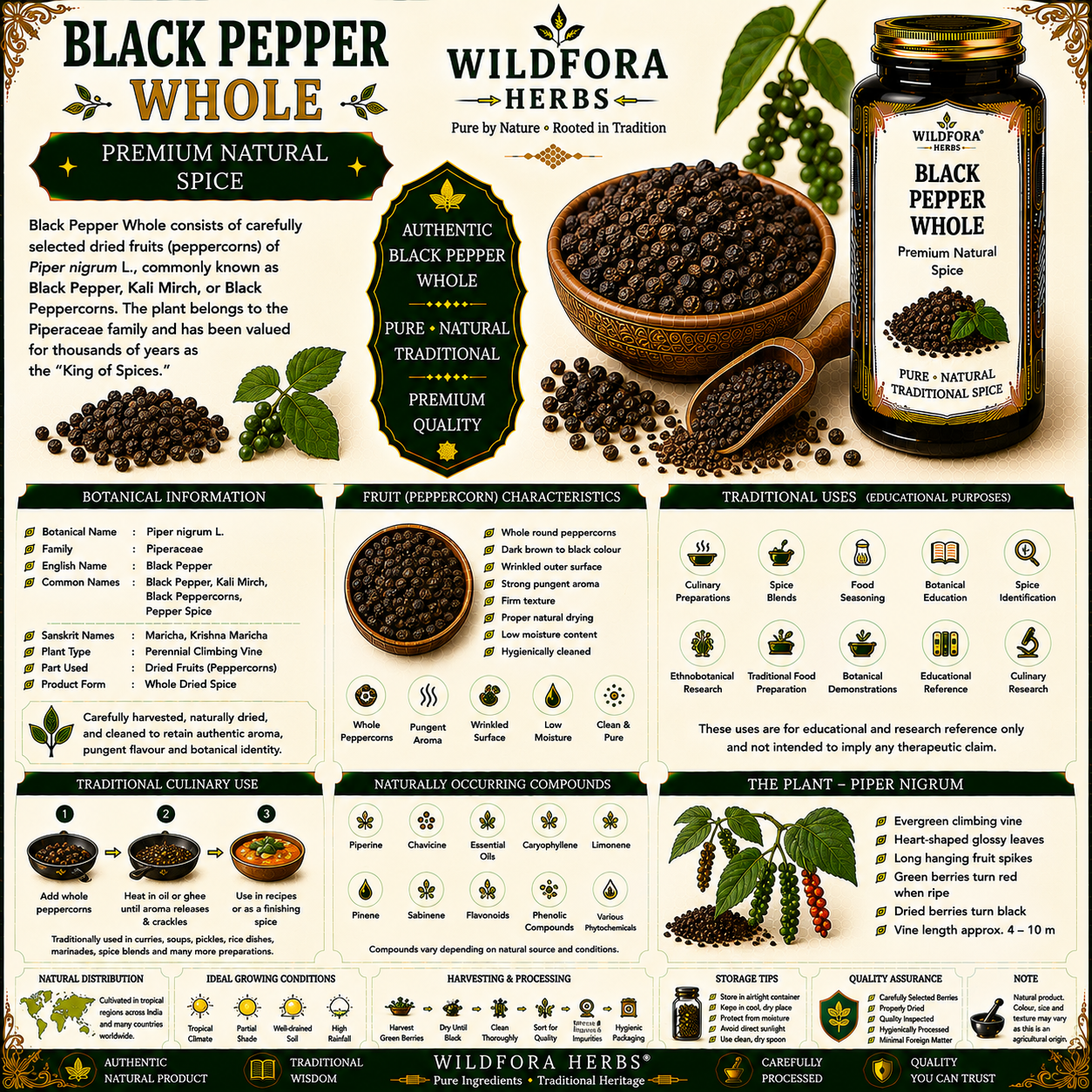 Black Pepper Whole (Piper nigrum) – Premium Kali Mirch Natural Spice Guide