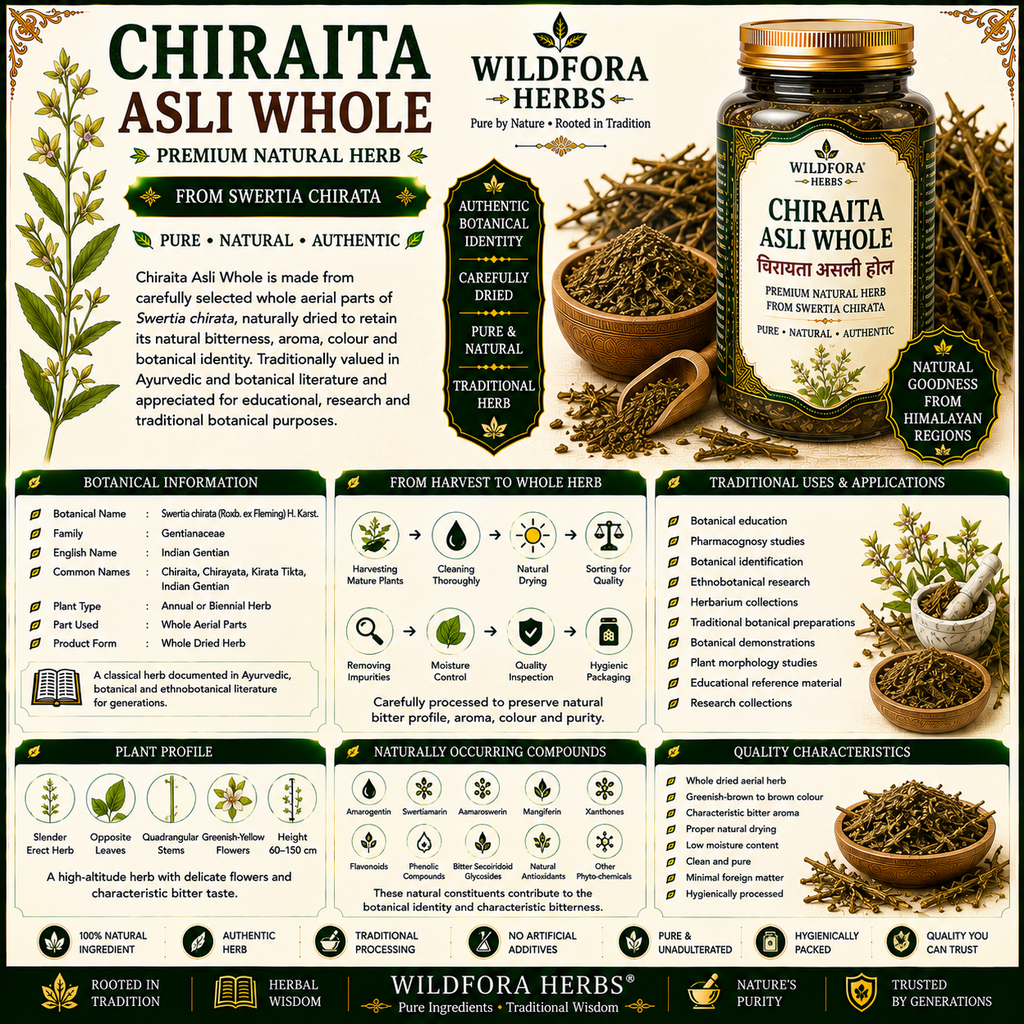 Chiraita Asli Whole Swertia Chirata Enicostemma Littorale Herbal
