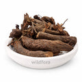 Chitrak Root Whole (Plumbago indica) - Premium Chita Mool Herbal Root | Natural Botanical Ingredient