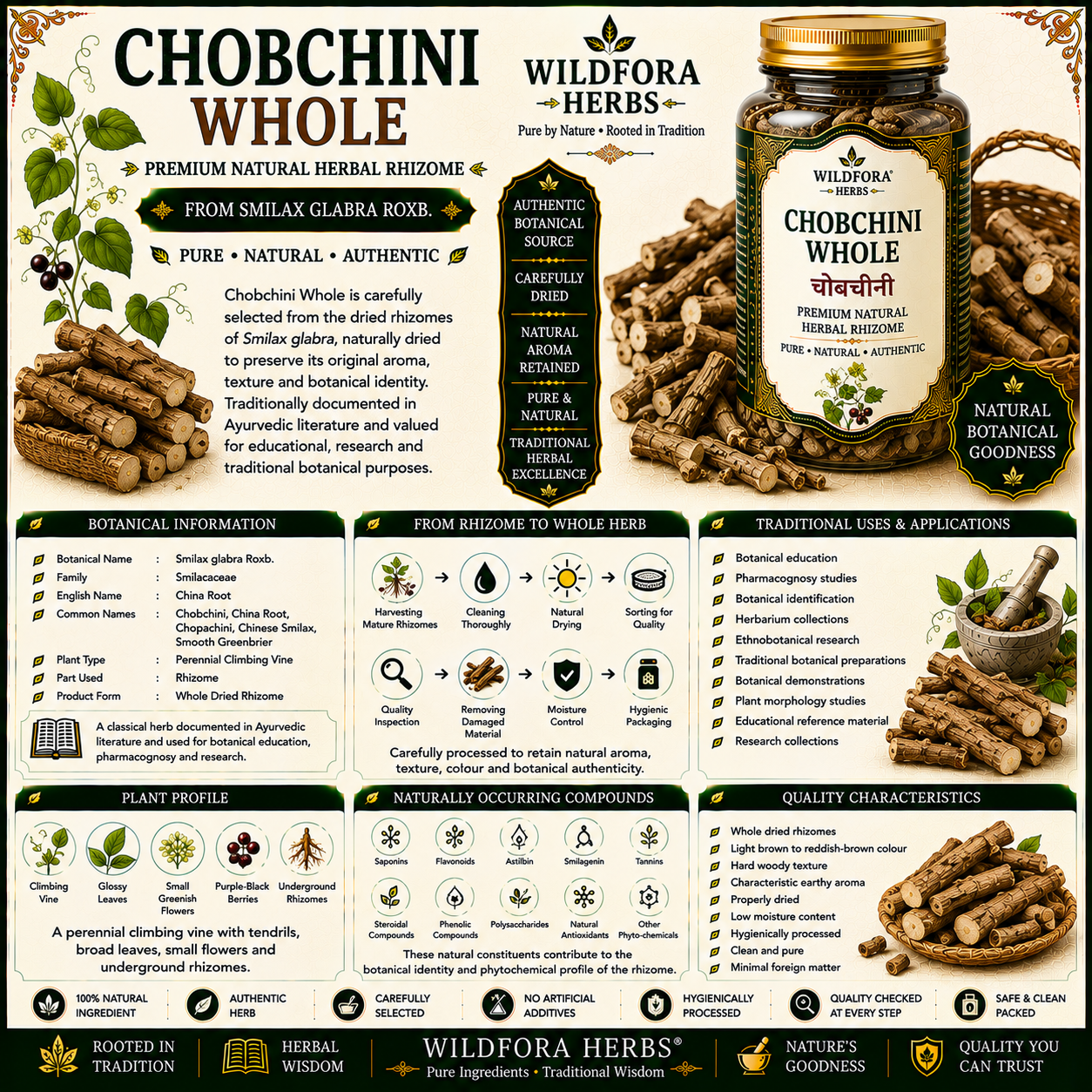 Chobchini Whole Smilax Glabra Natural Herbal Root