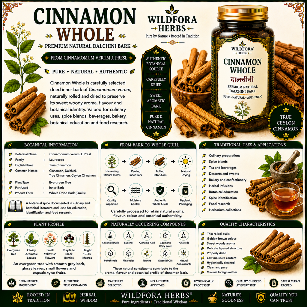 Cinnamon Whole Cinnamomum Verum Natural Dalchini Bark