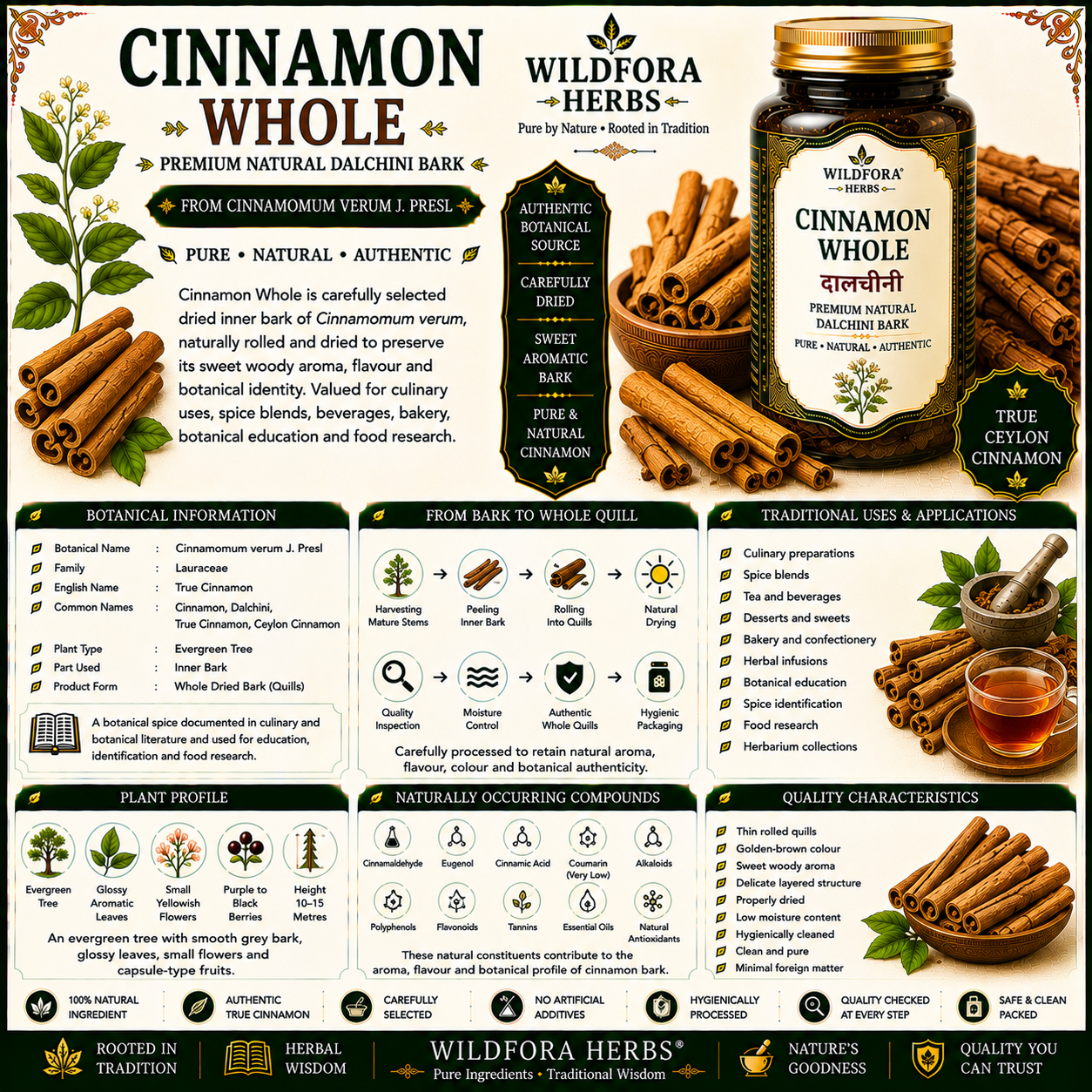 Cinnamon Whole Cinnamomum Verum Natural Dalchini Bark