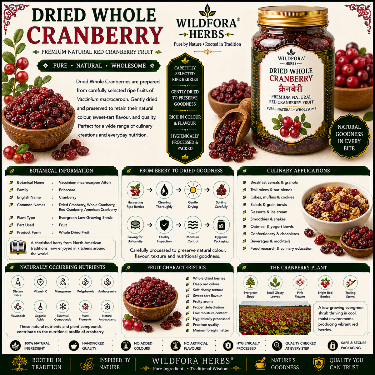 Cranberry Dried Whole Red Cranberry Natural Fruit