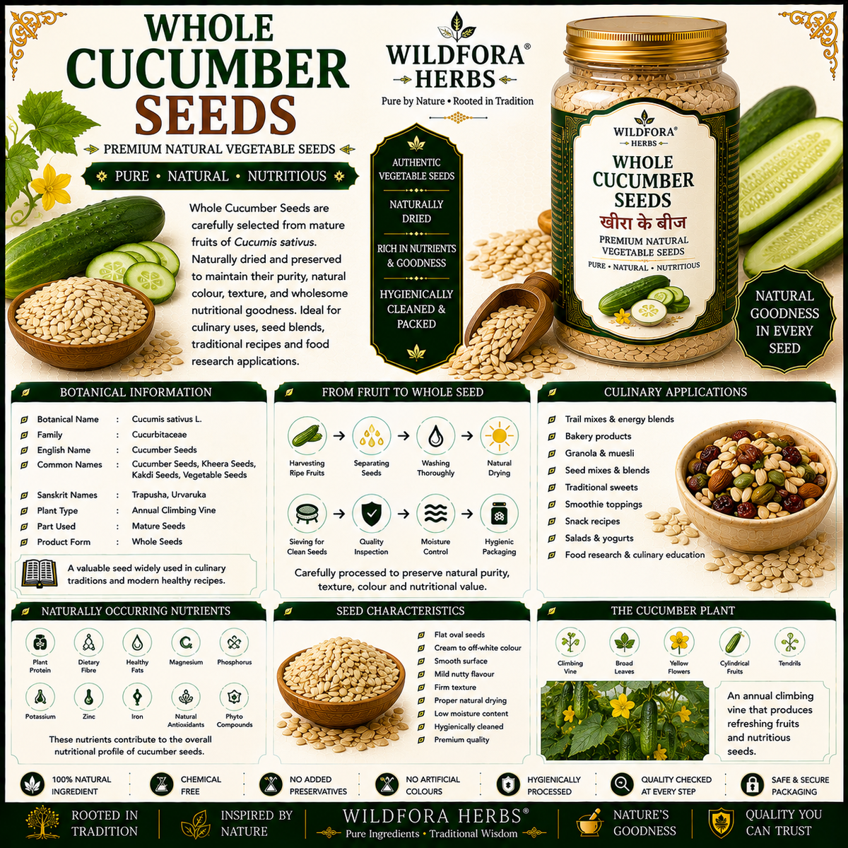 Cucumber Vegetable Seeds Whole Cucumis Sativus Natural Vegetable Seeds