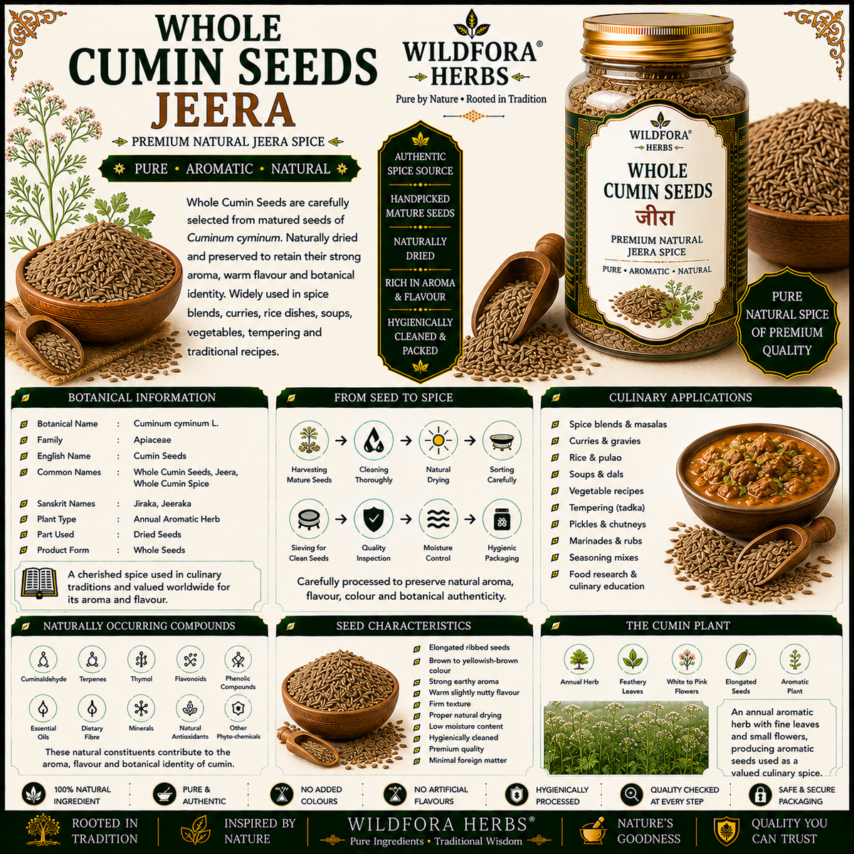 Cumin Seeds Whole Cuminum Cyminum Natural Jeera Spice