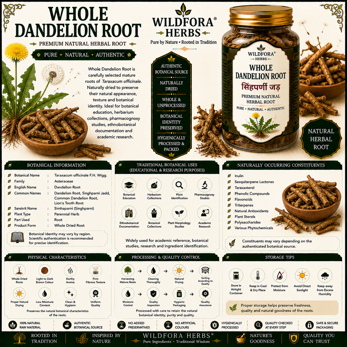 Dandelion Root Singhparni Jadd Whole Taraxacu