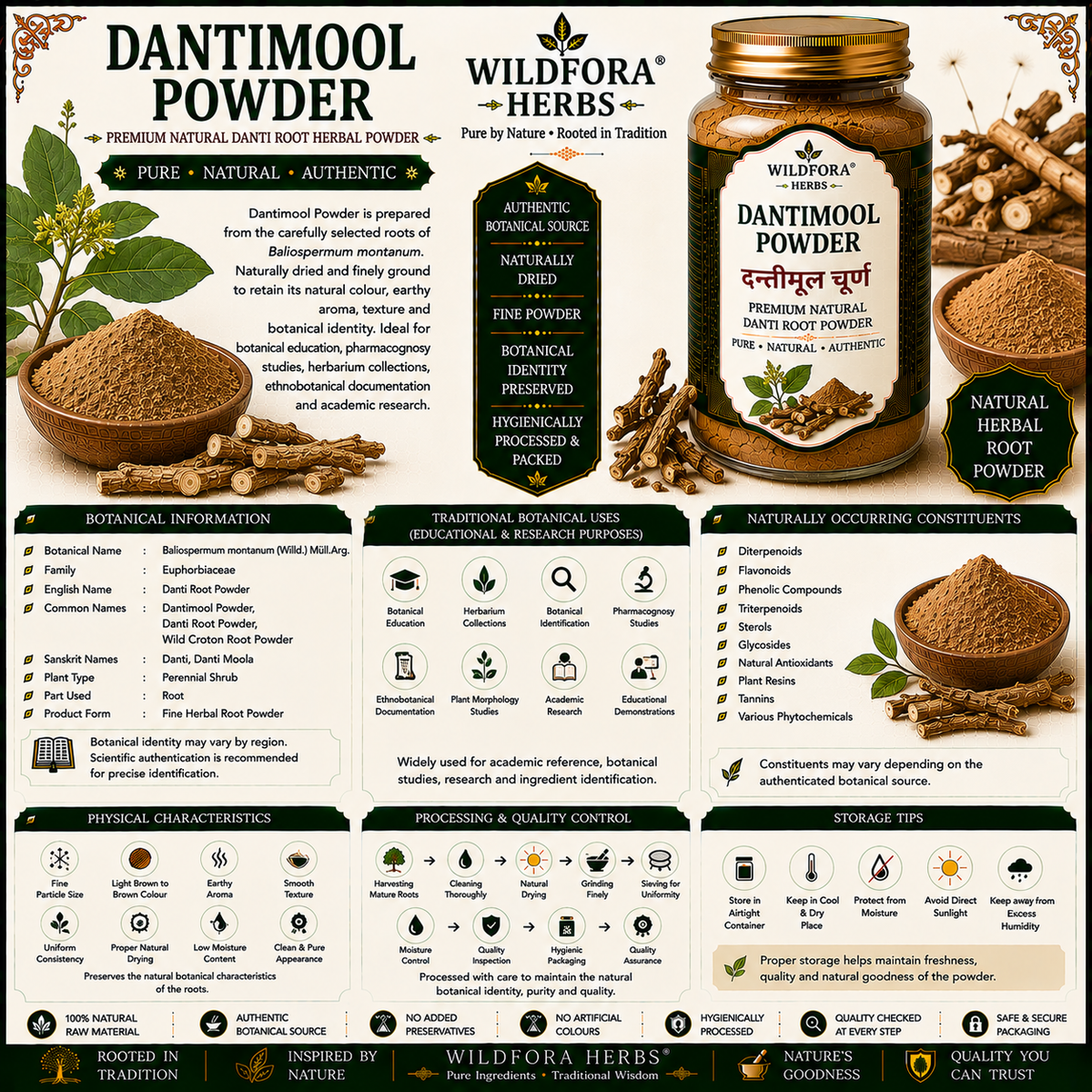 Dantimool Powder Baliospermum Montanum | Danti Root Herbal Powder