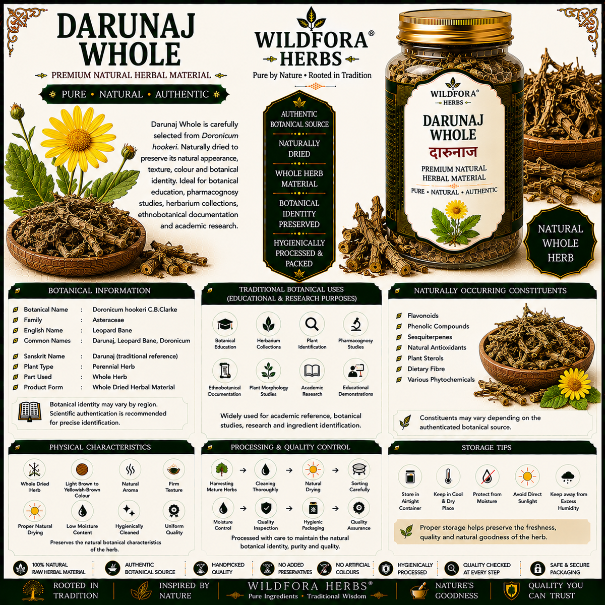 Darunaj Whole Doronicum Hookeri Leopard Bane Herbal