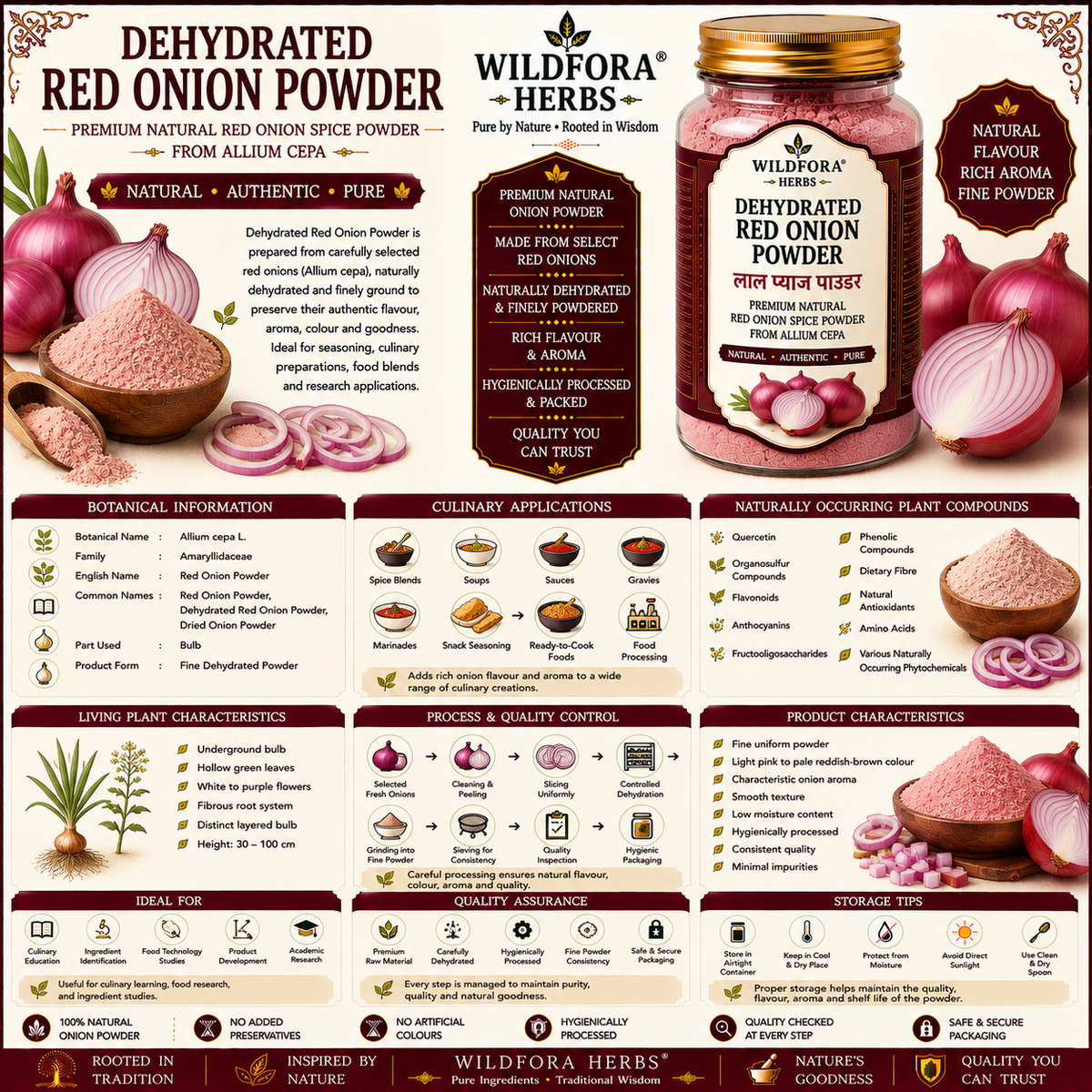 Dehydrated Red Onion Powder Allium Cepa | Red Onion Spice Powder