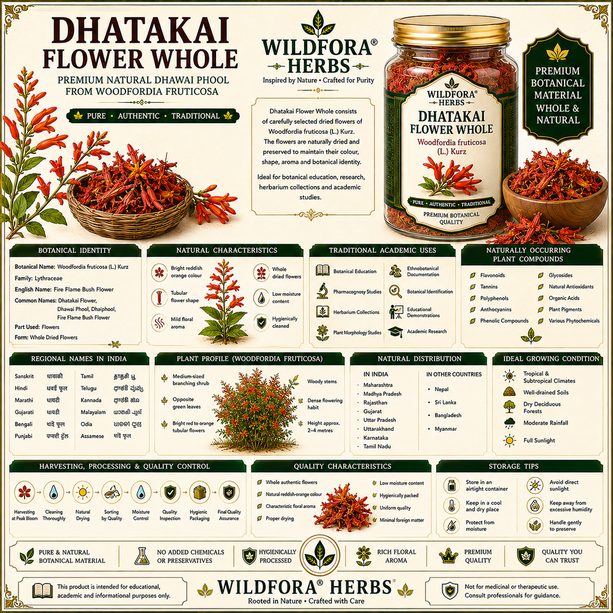 Dhatakai Flower Whole Woodfordia Fruticosa Natural Dhawai Phool