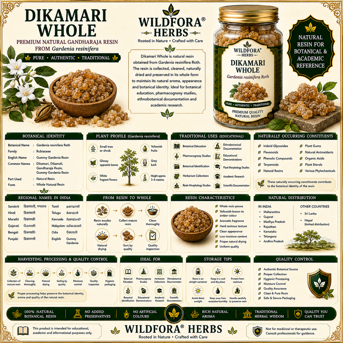 Dikamari Whole Gardenia Resinifera Natural Gandharaja Resin